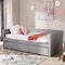 Baxton Studio Raymond Grey Nailheads Sofa Twin Daybed with Roll-Out Trundle Bed 125-6849 - alternate 9